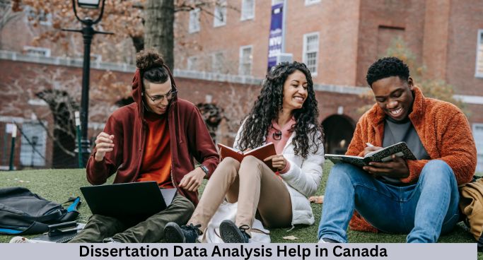 Dissertation Data Analysis Help in Canada