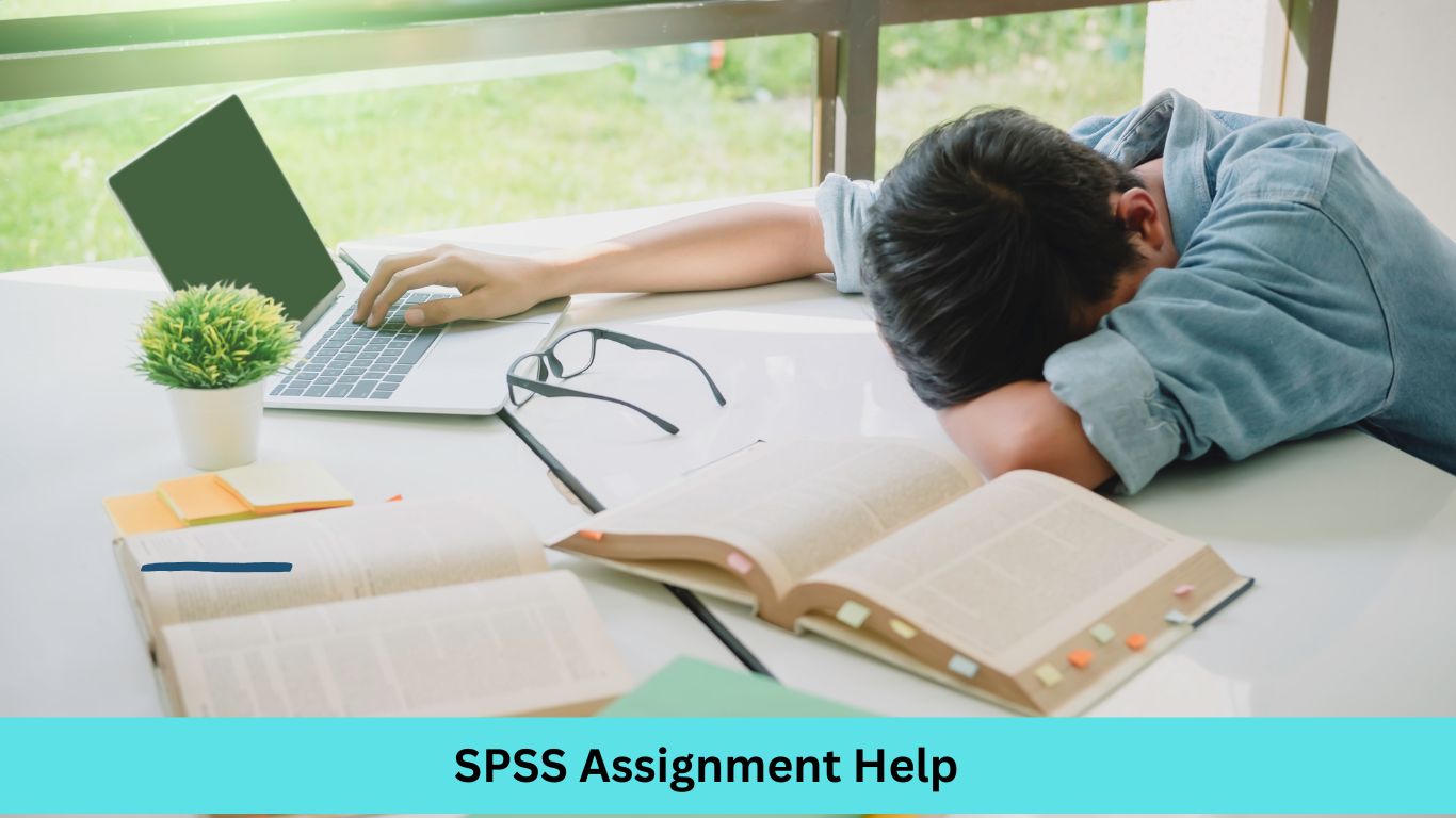 SPSS assignment Help for high school, undergraduate, Master's and PhD students